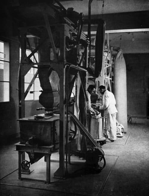 1939 Grinding powder in a Coty factory
