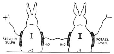 Leduc experiment