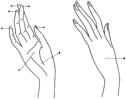 1931 The Du Barry Hand Principal Chart