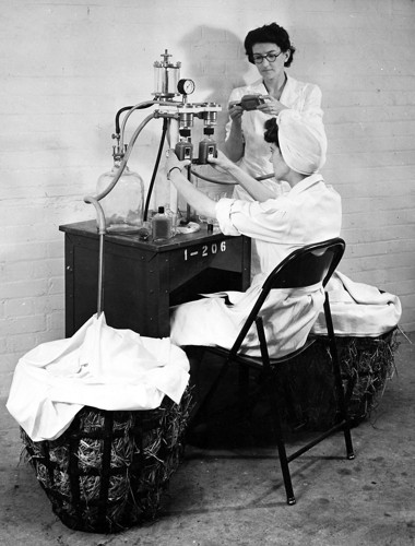 A worker fills bottles of Honeysuckle Skin Cream